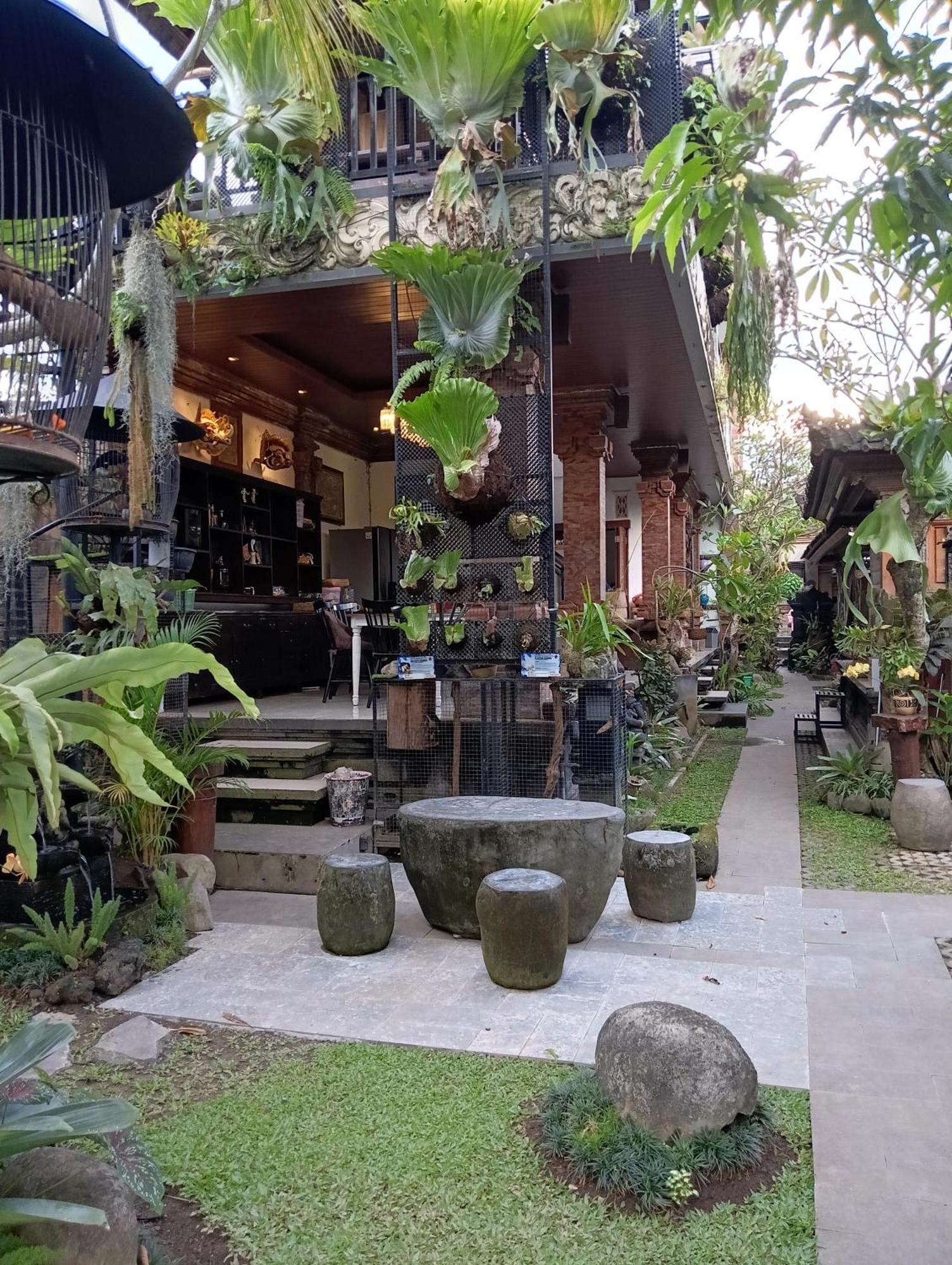 乌布 利约精神之家旅馆酒店 外观 照片
